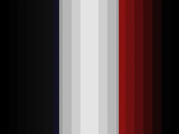 De Franse vlag — Stockfoto