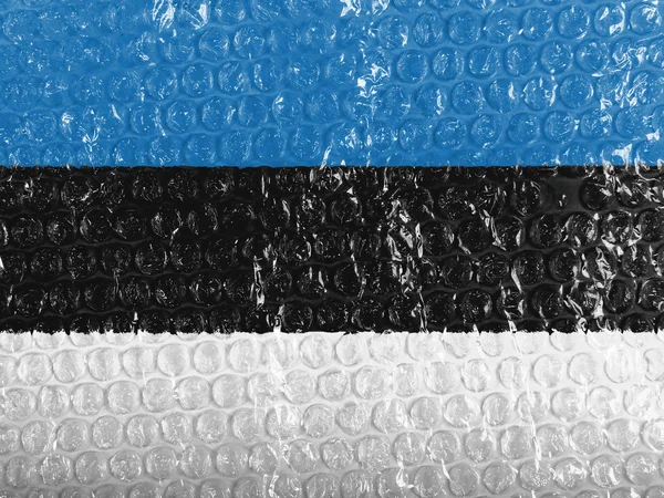 The Estonian flag — Stock Photo, Image