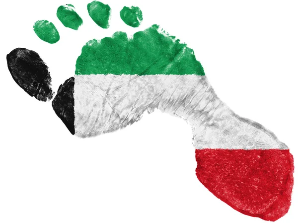 De Koeweitse vlag — Stockfoto