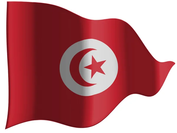 Le drapeau de Tunis — Photo