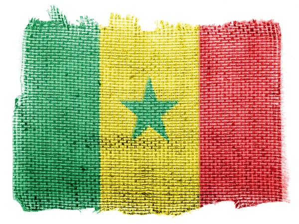 The Senegal flag — Stock Photo, Image