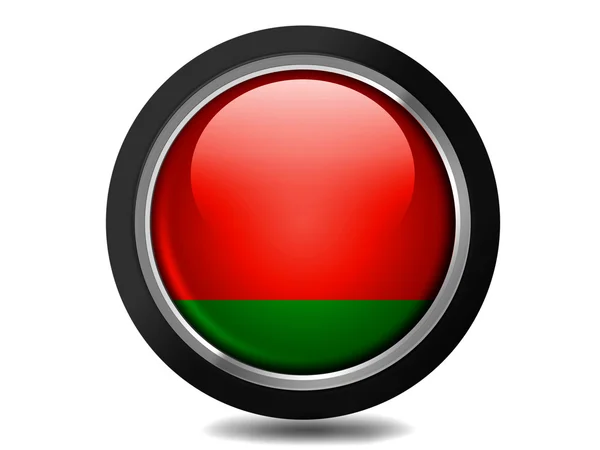 Den vitryska flaggan — Stockfoto