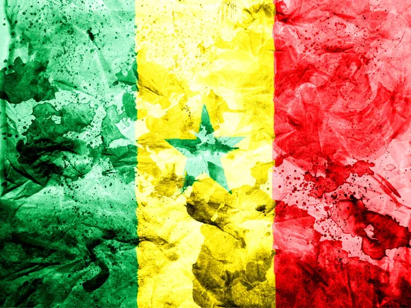 The Senegal flag — Stock Photo, Image