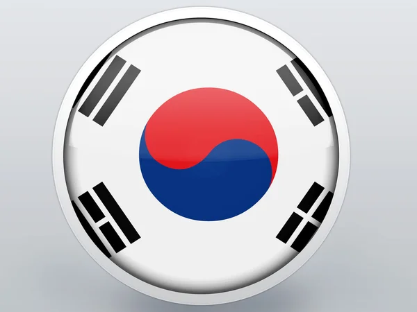 The South Korea flag — Stock Photo, Image