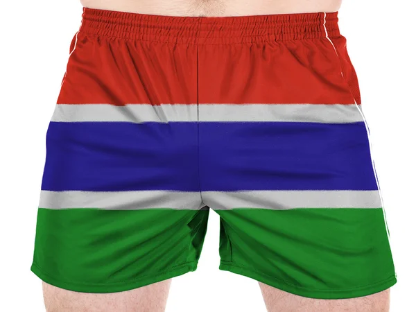 The Gambia Flag — Stock Photo, Image