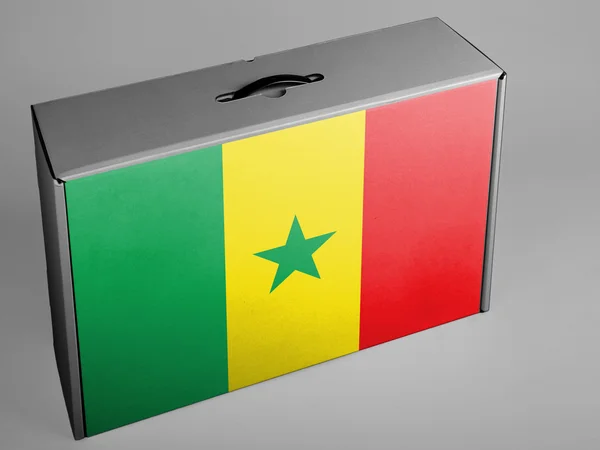 塞内加尔国旗 — 图库照片
