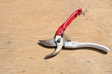 Bahçe makası, yerdeki dalları, çiçekleri ve çalıları kesmek için