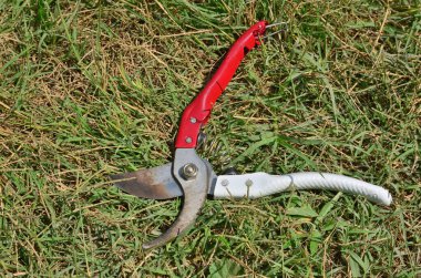 Ağaç dallarını, çiçekleri ve çalıları kesmek için bahçe makası.