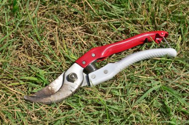Ağaç dallarını, çiçekleri ve çalıları kesmek için bahçe makası.