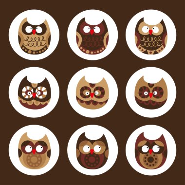 baykuş seti, sevimli baykuşlar, kuş