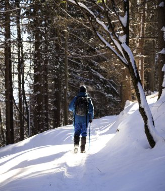 Simeonovo 'dan Zheleznitsa' ya giden yolda, Vitosha dağı, Bulgaristan