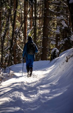 Simeonovo 'dan Zheleznitsa' ya giden yolda, Vitosha dağı, Bulgaristan