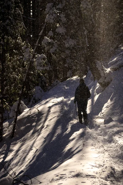 Misteries Pathway Simeonovo Zheleznitsa Vitosha Mountain Bulgari — Stock Photo, Image