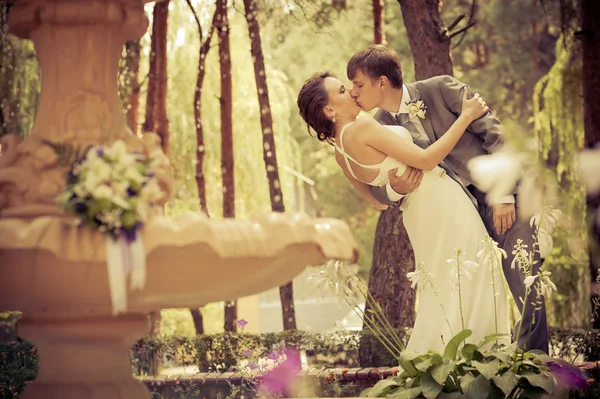 Novia y novio en un parque —  Fotos de Stock