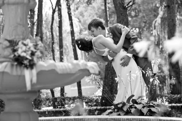 Sposo e sposa in un parco — Foto Stock