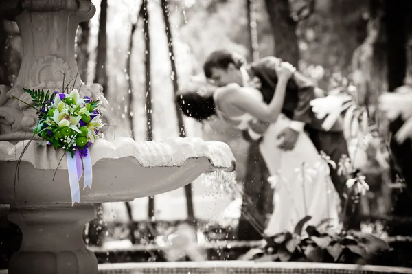 Sposo e sposa in un parco — Foto Stock