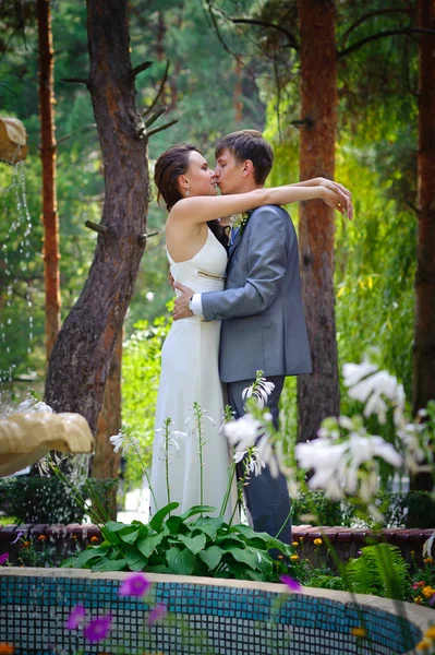Sposo e sposa in un parco — Foto Stock