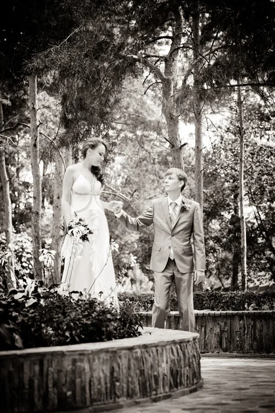 Novia y novio en un parque — Foto de Stock