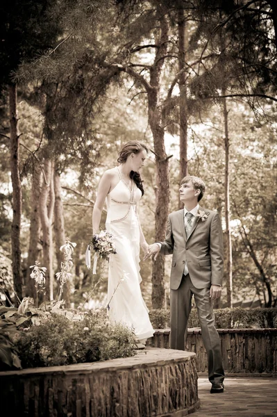 Sposo e sposa in un parco — Foto Stock