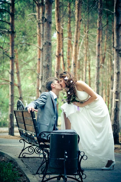 Sposo e sposa in un parco — Foto Stock