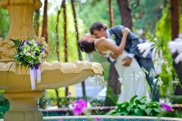 Groom and Bride in a park Royalty Free Stock Photos