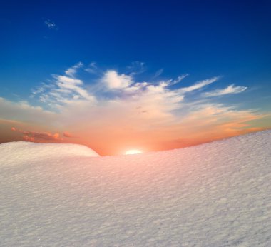 Kış manzarası. doğanın kompozisyon.