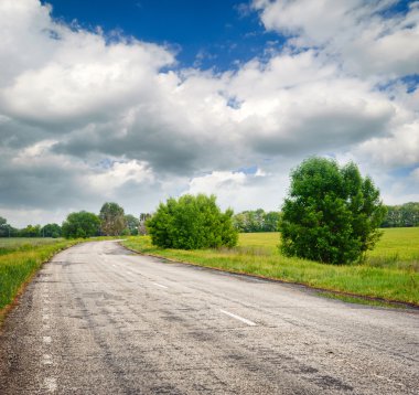alanları ve ağaçların arasındaki