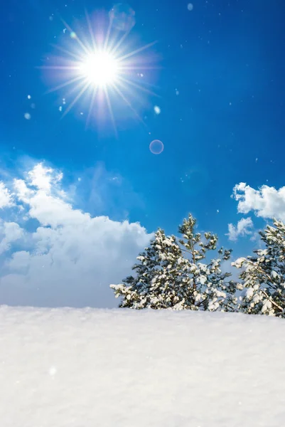 Paesaggio invernale. Composizione della natura . — Foto Stock