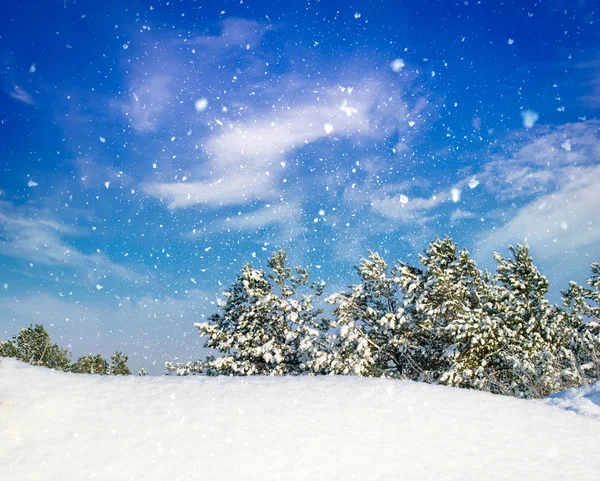 Kış manzarası. doğanın kompozisyon.