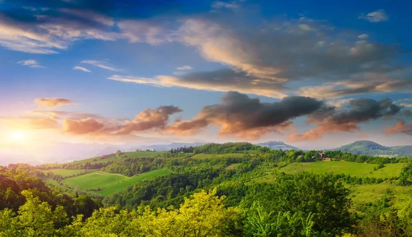 Grüne Wiese in Berg. Zusammensetzung der Natur. — Stockfoto