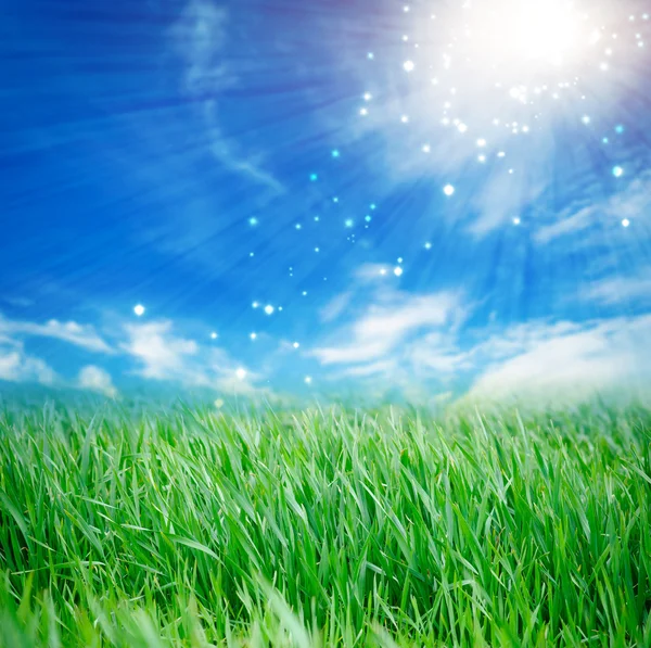 Hierba fresca de primavera con gotas sobre fondo azul claro desenfocado —  Fotos de Stock