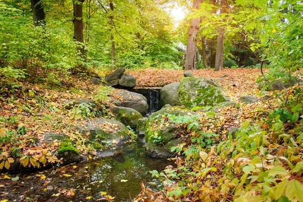 Outono. Composição da natureza . — Fotografia de Stock