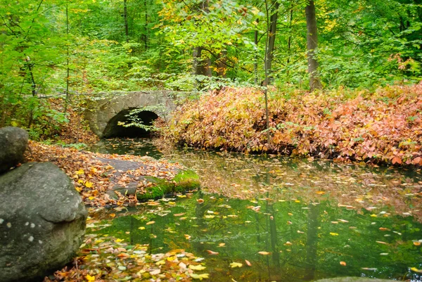 Jesienią. skład natury. — Zdjęcie stockowe