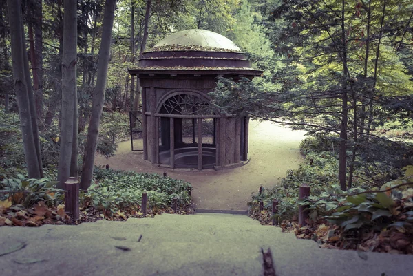 sonbahar. doğanın kompozisyon.