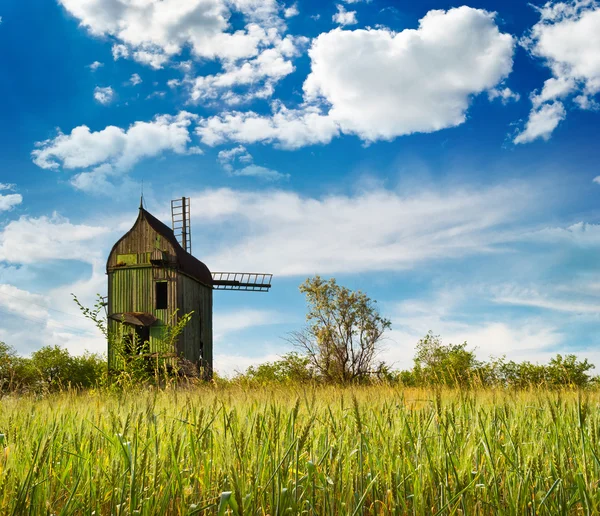 değirmende buğday tarlada. doğanın kompozisyon