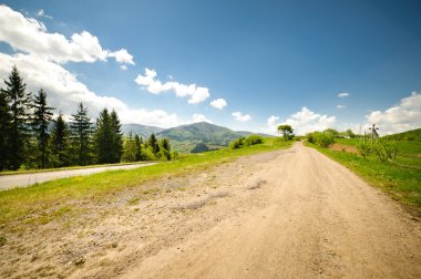 Karpat Dağları'nda yeşil çiçek çayırları
