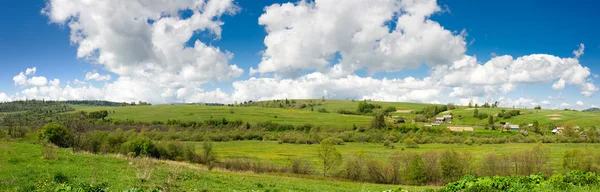 Green flower meadows in the Carpathian mountains — Stock Photo, Image