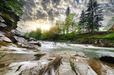 kayalar ve t arasında beyaz köpük ile dağ nehir akar