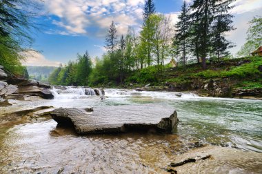 kayalar ve t arasında beyaz köpük ile dağ nehir akar