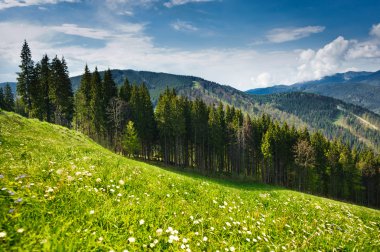 Beautiful view on mountains and meadows covered with forest clipart