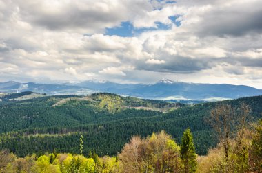 dağlar ve çayırlar güzel manzarasının ormanla kaplı
