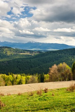 dağlar ve çayırlar güzel manzarasının ormanla kaplı