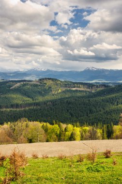 dağlar ve çayırlar güzel manzarasının ormanla kaplı