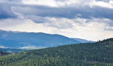 dağlar ve çayırlar güzel manzarasının ormanla kaplı