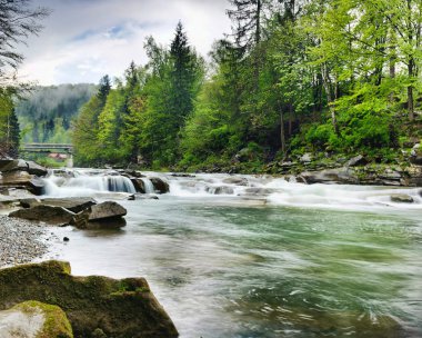 kayalar ve t arasında beyaz köpük ile dağ nehir akar