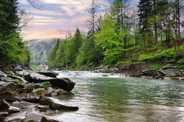 kayalar ve t arasında beyaz köpük ile dağ nehir akar