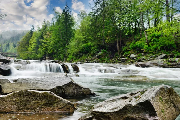 kayalar ve t arasında beyaz köpük ile dağ nehir akar