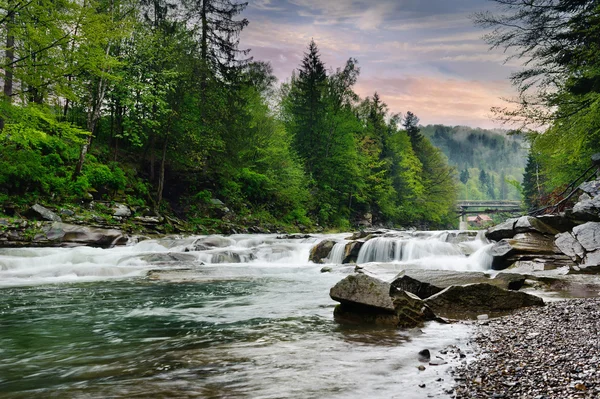 Kayalar ve t arasında beyaz köpük ile dağ nehir akar — Stok fotoğraf