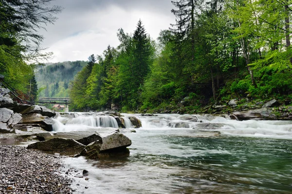 Rauer Gebirgsfluss mit weißem Schaum fließt zwischen den Felsen und — Stockfoto