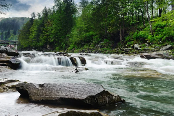 Río de montaña áspera con espuma blanca fluye entre las rocas y t —  Fotos de Stock